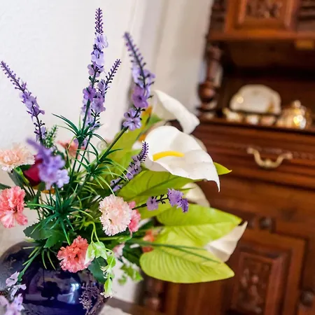 Dom wakacyjny Vera Pollensa